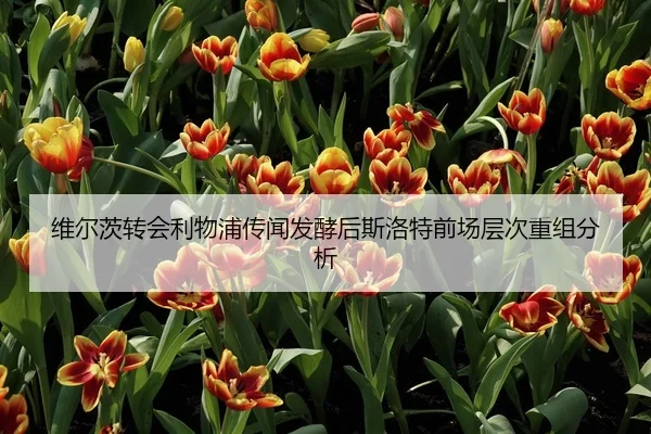 维尔茨转会利物浦传闻发酵后斯洛特前场层次重组分析