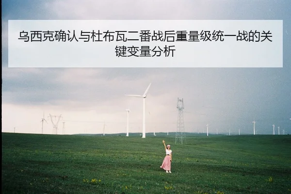 乌西克确认与杜布瓦二番战后重量级统一战的关键变量分析