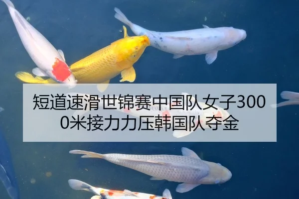 短道速滑世锦赛中国队女子3000米接力力压韩国队夺金