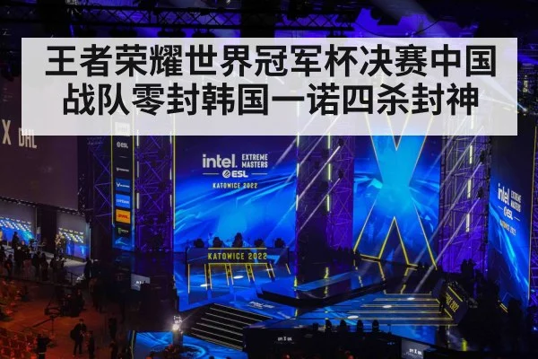 王者荣耀世界冠军杯决赛中国战队零封韩国一诺四杀封神