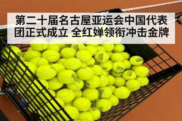 第二十届名古屋亚运会中国代表团正式成立 全红婵领衔冲击金牌